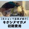 【元ショップ店員が紹介】キボシヌマガメの初期費用