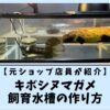 【元ショップ店員が紹介】キボシヌマガメ飼育水槽の作り方