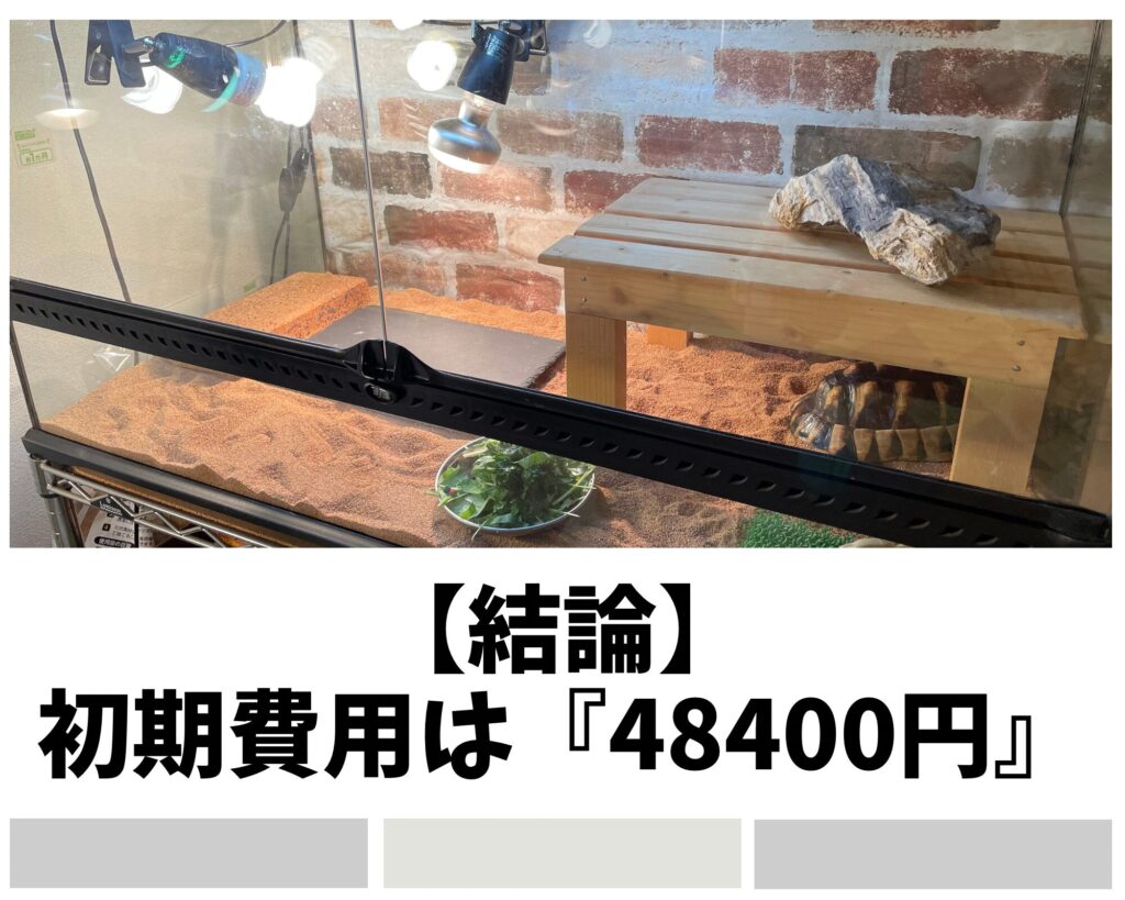 【結論】リクガメの初期費用は『48400円』