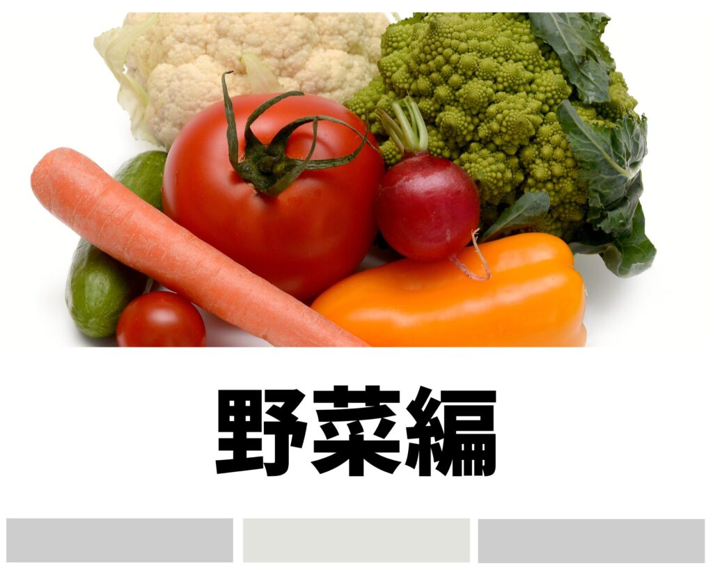【リクガメのエサ】野菜編