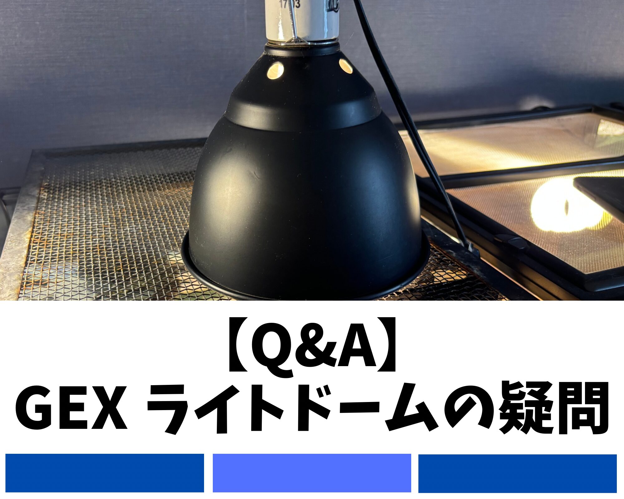 【Q&A】GEX ライトドームの疑問