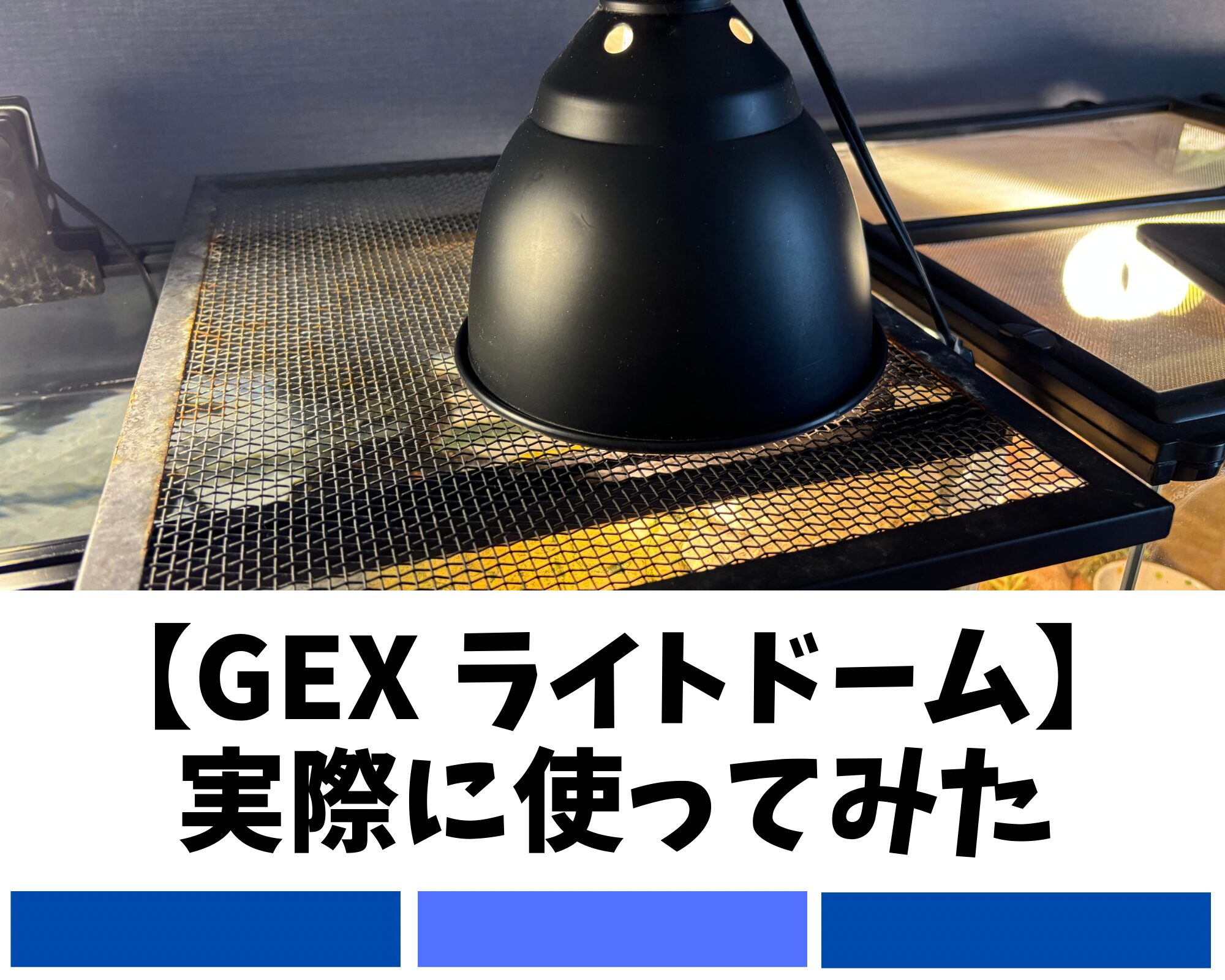 GEX ライトドームを実際に使ってみた感想