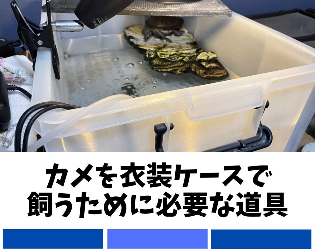 カメを衣装ケースで飼うために必要な道具