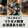 【初心者向け】リクガメ飼育の必須道具を紹介